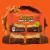 Reeses Snack cake torta 77g