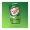 Canada Dry Ginger Ale gyömbérsör üdítőital 355ml