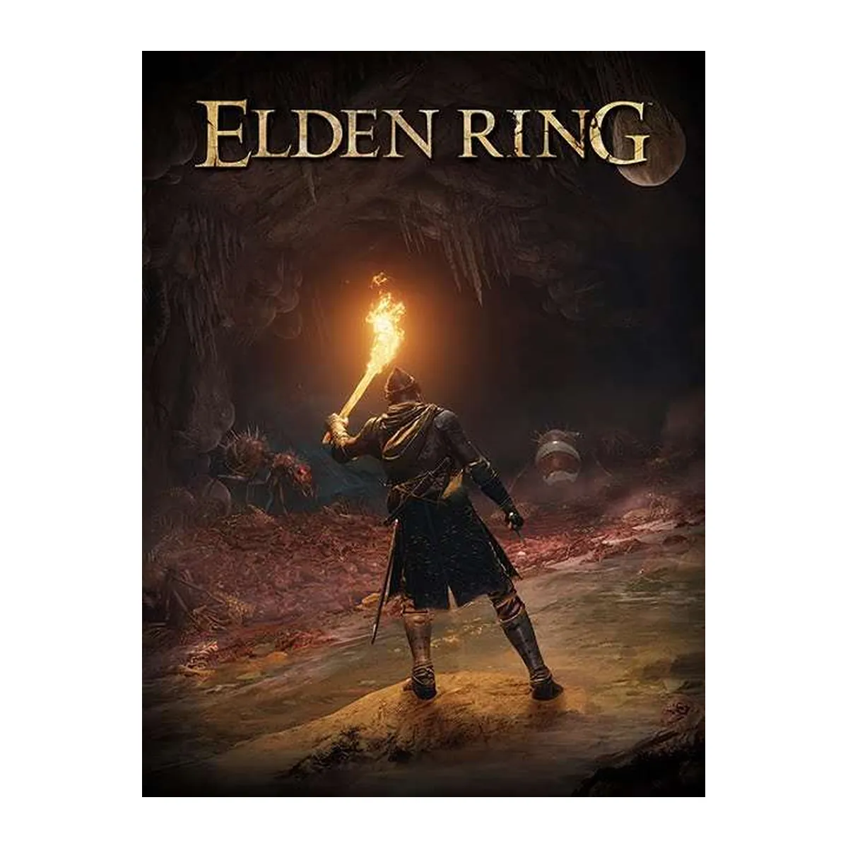 Elden Ring - Embrace the Darkness vászonkép